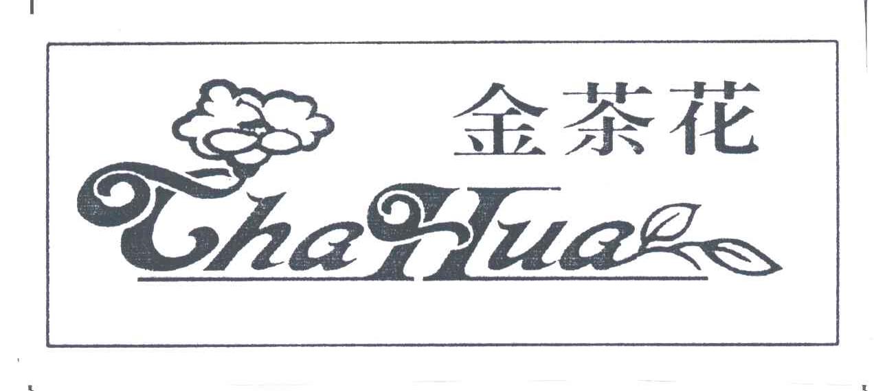 金茶花;CHA HUA
