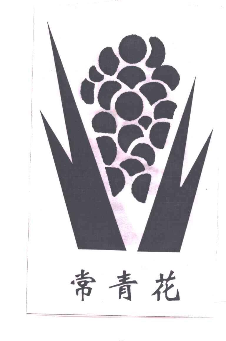 常青花
