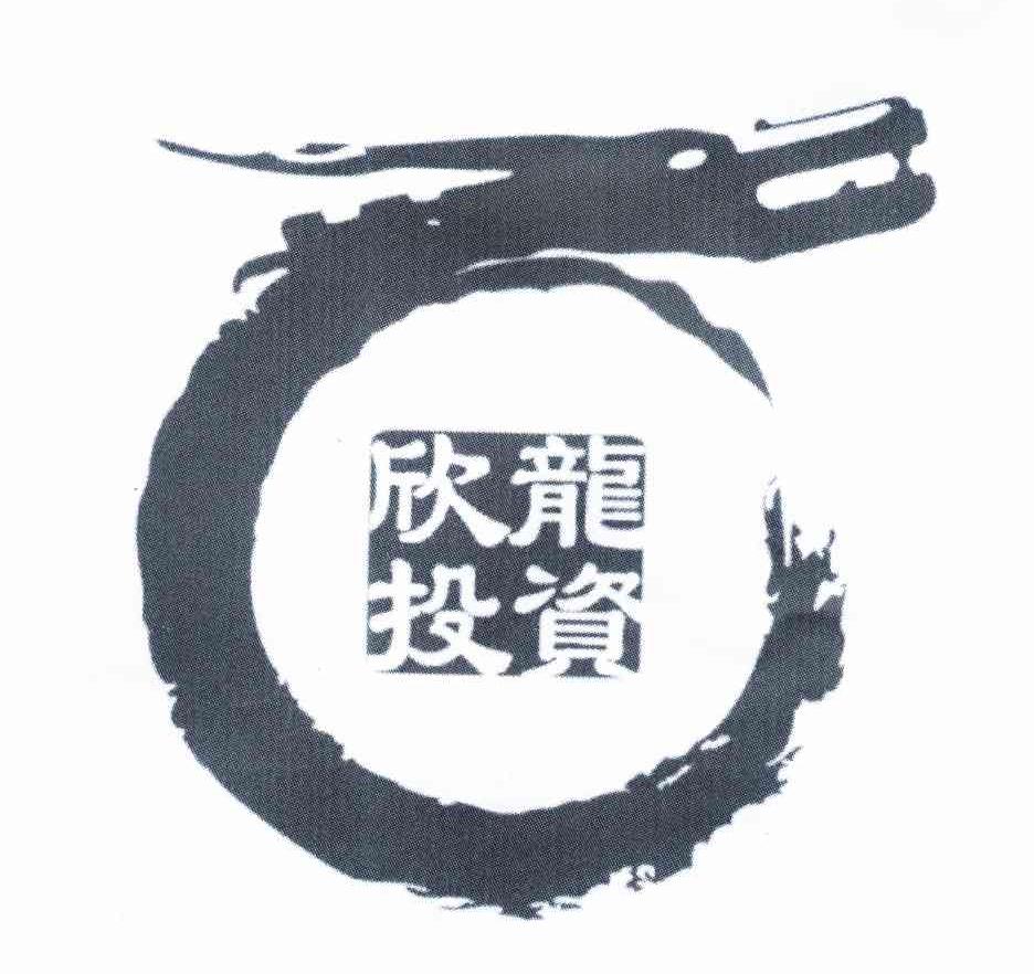 欣龙投资