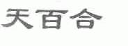 天百合