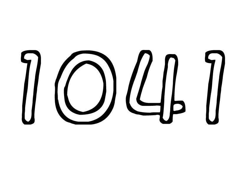 1041