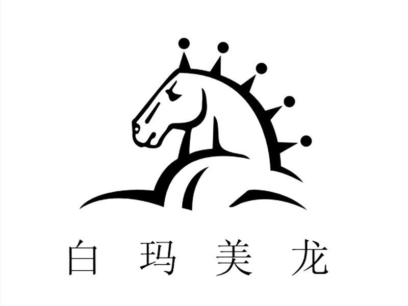 白玛美龙