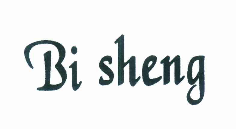 BI SHENG