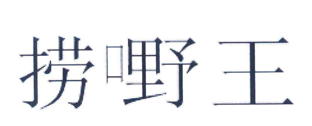 捞嘢王