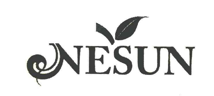 NESUN