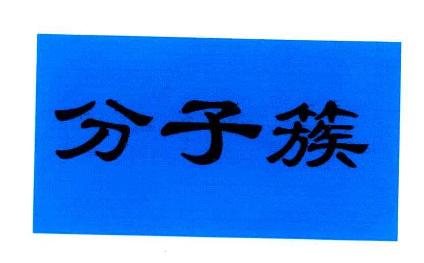 分子簇