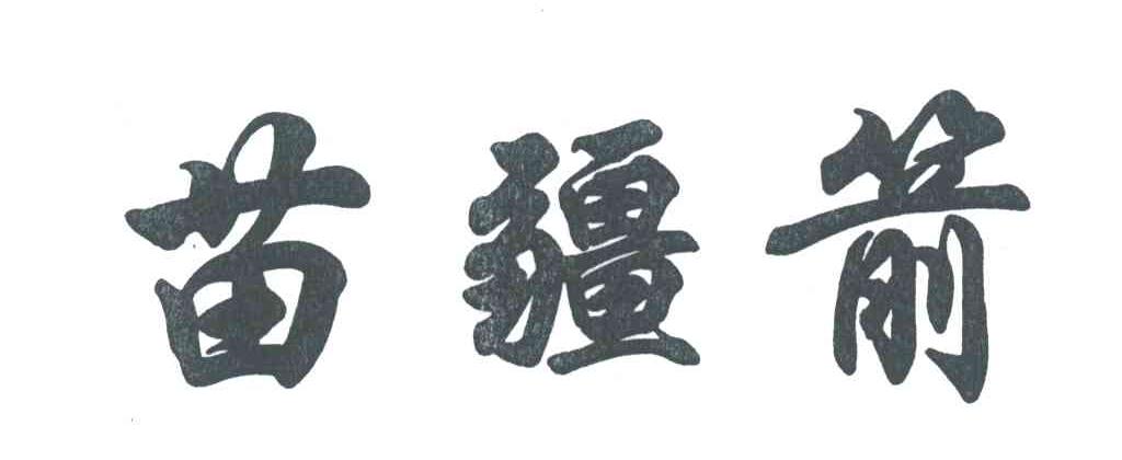 苗疆箭
