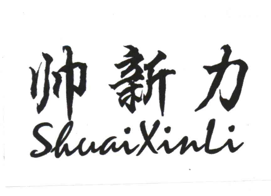 帅新力
