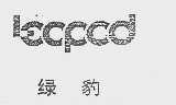 绿豹  LOOPOD