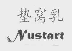 垫窝乳   NUSTART