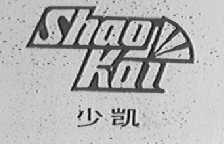 少凯