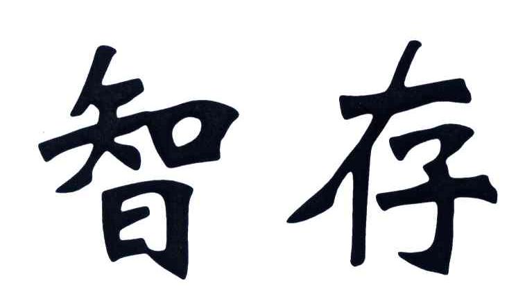 智存