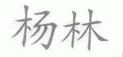 杨林