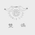 双鸽   DOUBLE DOVE