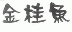 金桂鱼
