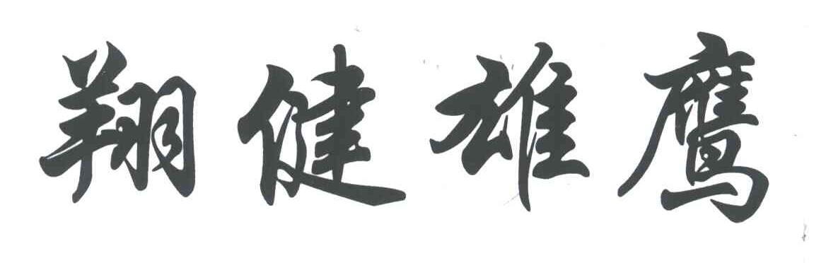 翔健雄鹰