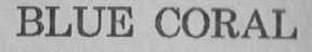 BLUE CORAL