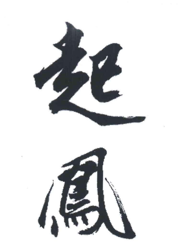起凤