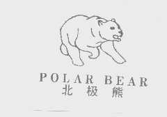 北极熊   POLAR BEAR