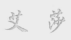 艾莎