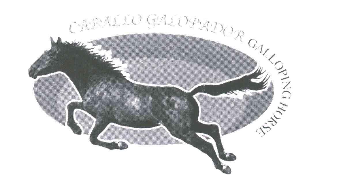 CABALLO GALOPADOR GALLOPING HOURSE