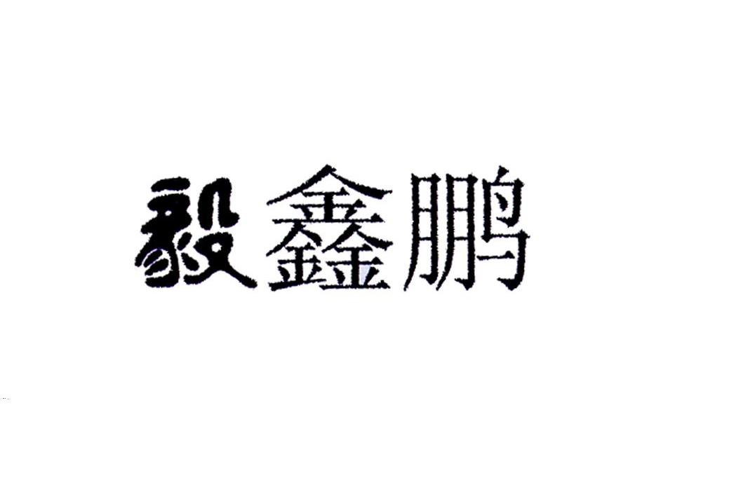 毅鑫鹏