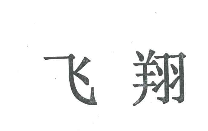 飞翔