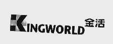 金活   KINGWORLD