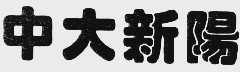 中大新阳