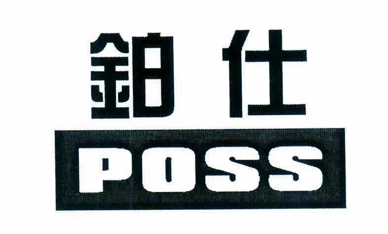 铂仕 POSS