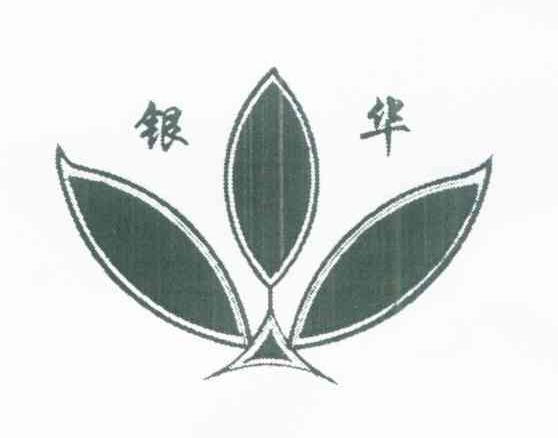 银华