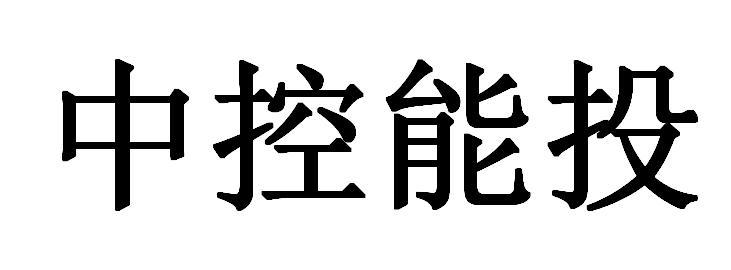 中控能投