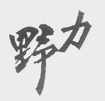 野力