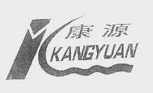 康源