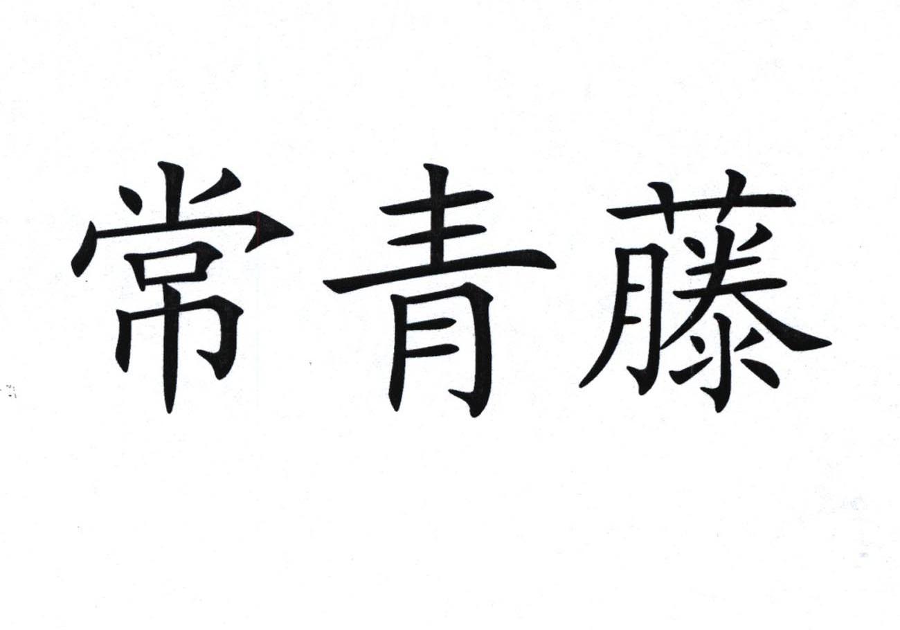 常青藤