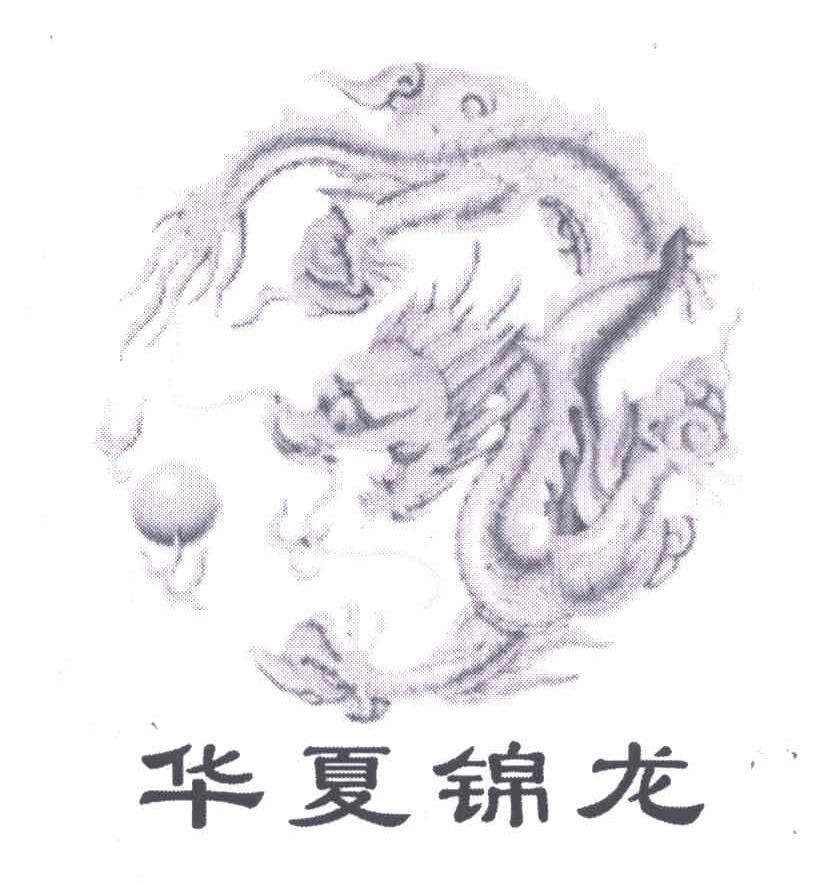 华夏锦龙