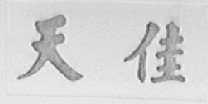 天佳