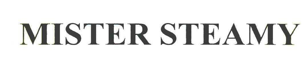 MISTER STEAMY