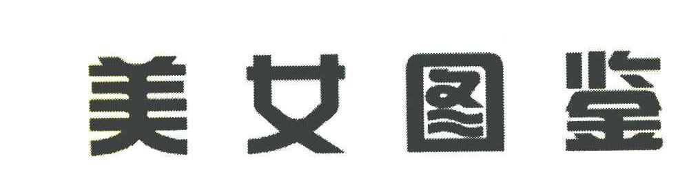 美女图鉴