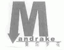 曼佗罗花;MANDRAKE