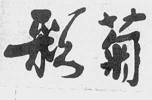 彩菊