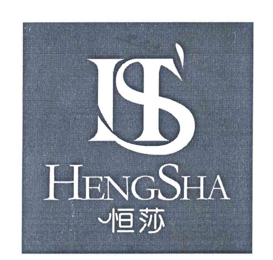 恒莎 HS