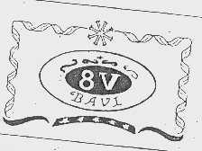 BAVI 8V