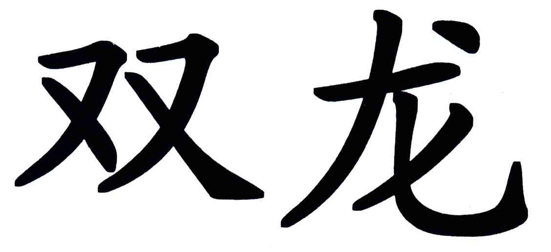 双龙