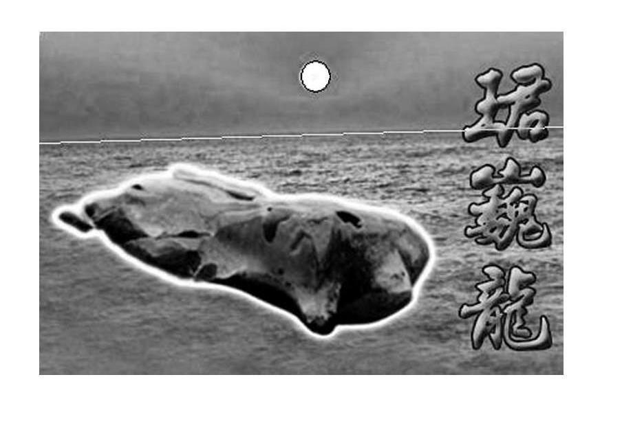 珺巍龙