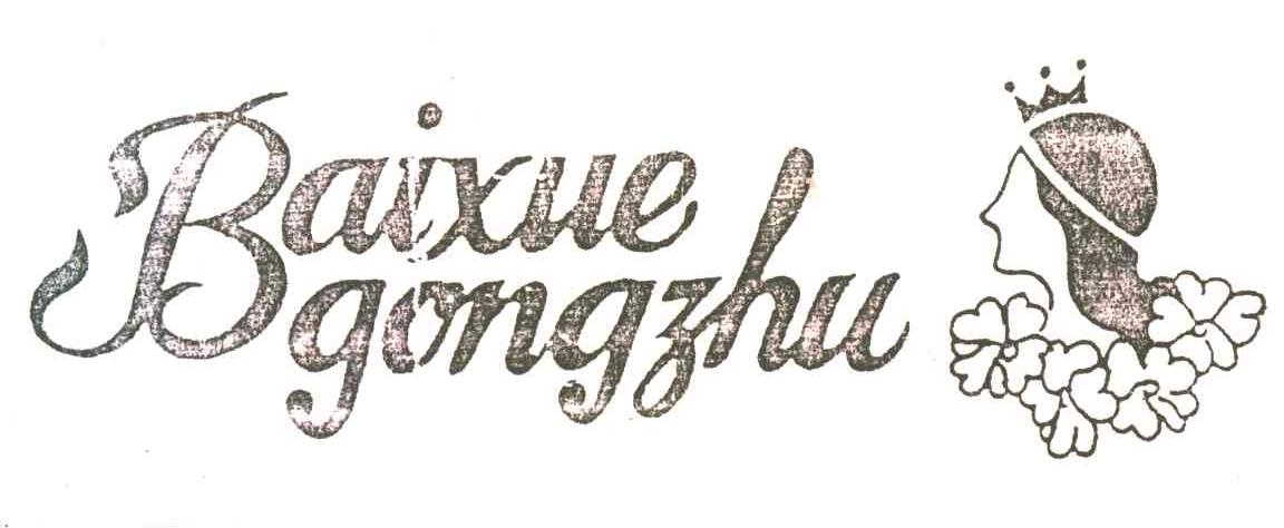 BAIXUEGONGZHU