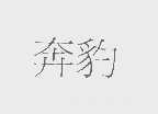 奔豹