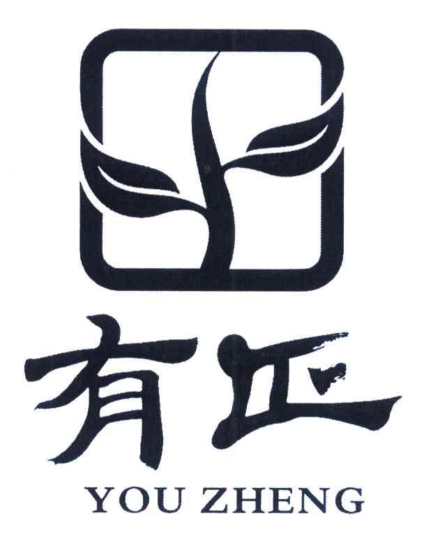 有正