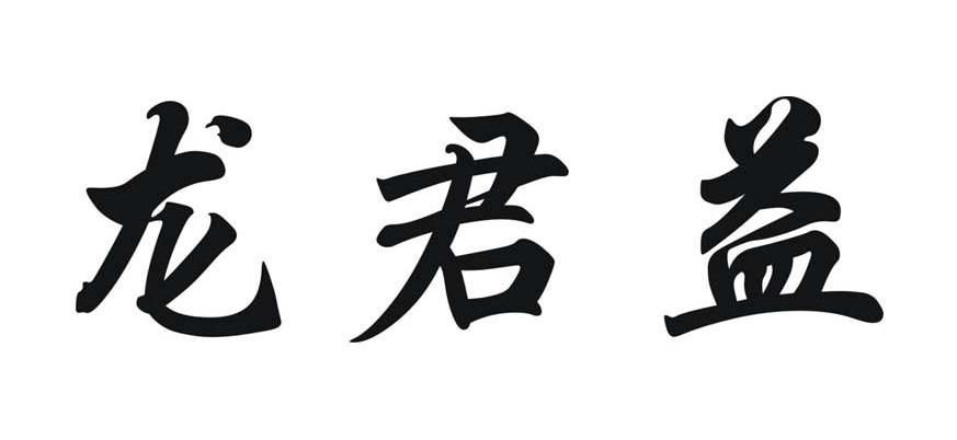 龙君益