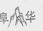 阜华